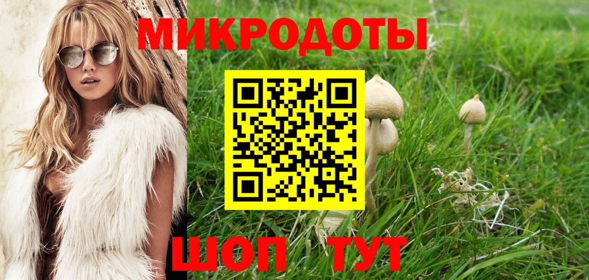 Псилоцибиновые грибы GOLDEN TEACHER  Галлюциногенные грибы Cubensis  наркотики  Полысаево  Вход с VPN 