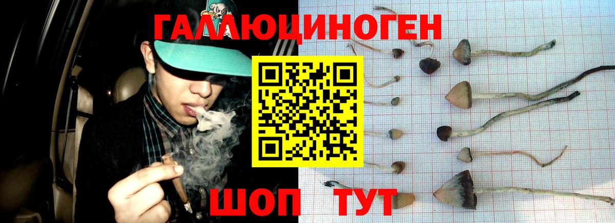 Псилоцибиновые грибы прущие грибы Полысаево